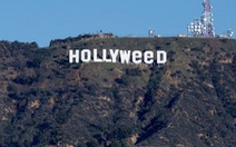 ​Biểu tượng Hollywood bị sửa thành Hollyweed