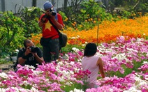 Hàng ngàn du khách ùn ùn đổ về làng hoa Sa Đéc