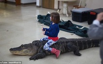 ​Video bé gái cưỡi cá sấu khổng lồ gây tranh cãi