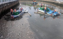 Ngăn chặn tình trạng cá chết trên kênh Nhiêu Lộc - Thị Nghè