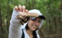 Vợ chồng vào rừng Amazon khám phá những côn trùng kỳ dị