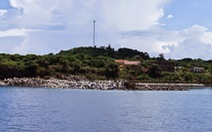 ​Phát triển bền vững khu bảo tồn biển đảo Cồn Cỏ