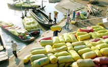 ​Gia hạn thỏa thuận xuất khẩu gạo với Philippines đến năm 2018