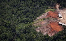 ​8.000km2 diện tích rừng Amazon bị tàn phá trong năm 2016