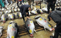 ​Nhật Bản muốn đẩy mạnh xuất khẩu thủy sản vào Việt Nam