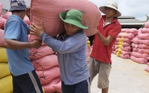 Vụ giấy phép xuất khẩu gạo 20.000 USD: Chỉ là mời chào của bên tư vấn