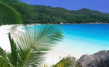 ​Côn Đảo là một trong các bãi biển vắng đẹp nhất thế giới