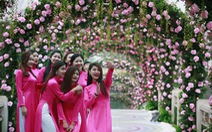 Lễ hội hoa hồng đầu tiên tại Việt Nam 