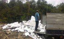 Khách nước ngoài quay clip xe tải đổ rác bừa bãi