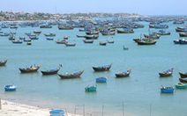​Cấm khai thác một số loài hải đặc sản trên vùng biển Bình Thuận