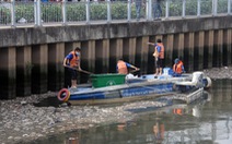 Tìm giải pháp ngăn cá chết trên kênh Nhiêu Lộc - Thị Nghè