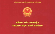 ​Đề nghị cách chức chủ tịch xã xài bằng giả