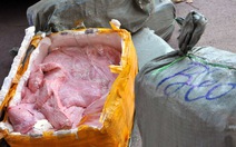 Bắt xe container chở hơn 4 tấn vú heo “lậu”