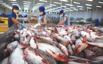 ​Kiểm tra các lô hàng cá da trơn xuất khẩu vào Mỹ
