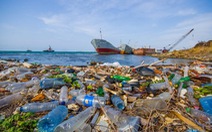 ​Dòng hải lưu đem rác thải đến khiến Bắc Cực ô nhiễm nặng
