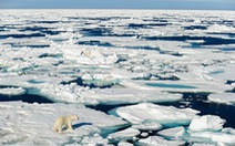 ​Thế giới thiệt hại hàng nghìn tỷ USD do băng tan tại Bắc Cực