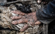 Hình ảnh đáng sợ ở bãi rác lớn nhất Đông Nam Á