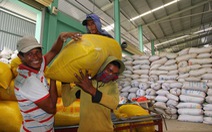 Nông dân cần có đại diện tham gia điều hành xuất khẩu gạo