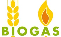 Sửa đường ống, ba anh em cùng chết dưới hố biogas