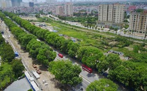 Hà Nội chưa quyết định chặt hạ, di chuyển hơn 1.300 cây xanh