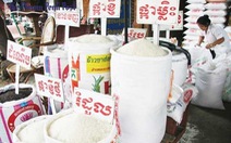 ​Xuất khẩu gạo 5 tháng đầu năm của Campuchia cao kỷ lục