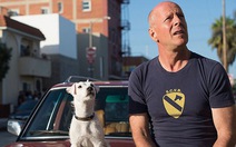 'Già gân' Bruce Willis trở lại màn bạc vì một chú chó cưng