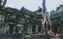 Ta Prohm - ngôi đền của những rễ cây kỳ dị 