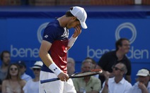 Murray thua tay vợt hạng 90 thế giới ở trận mở màn Queen's Club