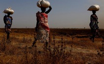 ​Canada hỗ trợ 65 triệu USD giúp Nam Sudan khắc phục nạn đói