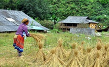 ​153 triệu USD giúp Việt Nam xóa đói giảm nghèo vùng nông thôn