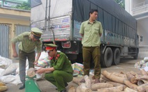 ​Bắt giữ xe tải vận chuyển hơn 2,7 tấn ngà voi trái phép