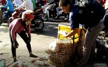 'Soái ca' nhặt trứng