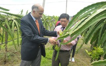 Ấn Độ muốn sớm đưa nông dân sang Việt Nam học trồng xoài