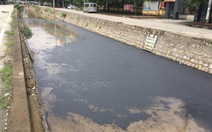 Váng đen nổi kín mương nước chảy ra vịnh Hạ Long