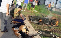 Hai nghi phạm trộm chó bị dân vây đánh vỡ sọ, đốt xe