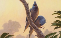 ​Tìm thấy hóa thạch chim cổ sau thời khủng long tuyệt chủng