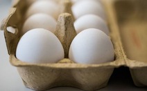 700.000 trứng nghi nhiễm thuốc trừ sâu đã vào Anh