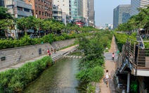 Sông trong thành phố Nhìn ra ngoài quy hoạch và sử dụng đất