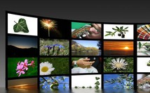 Năm 2018 quảng cáo trên Internet vượt truyền hình 40 tỉ USD