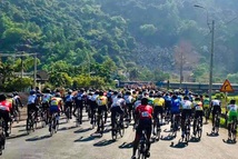 Tàu hỏa ngáng đường đua