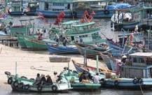 'Con tàu miền Tây' ra khơi