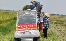 Những chuyến xe miễn phí chở lúa từ ruộng về nhà dân giữa ngày nóng đổ lửa