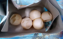 Hành khách mang về 5 vật hình tròn, nghi trứng vích từ Côn Đảo