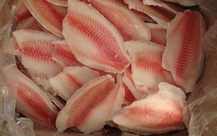 Vì sao Brazil dừng nhập khẩu cá rô phi Việt Nam?