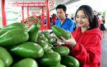 Hoa thơm trái ngọt ngập tràn Lễ hội Trái cây Nam Bộ 2024