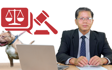 Tư vấn pháp luật: Chủ nuôi có thể đi tù nếu để chó cắn người?