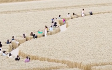 Video: Sàn diễn thời trang giữa cánh đồng lúa mì
