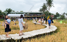 Video: Quán cà phê, nhà hàng trên ruộng lúa ở Hội An ‘níu chân’ du khách