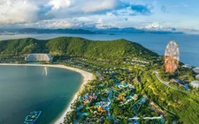 Cánh phượng hồng ngẩn ngơ…