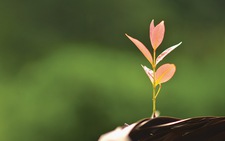 Kết thúc để bắt đầu…